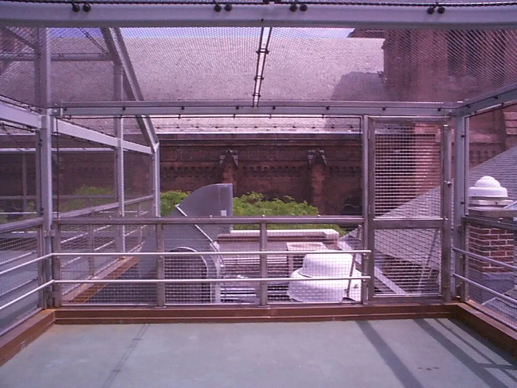 A view of an outdoor area with a building and plants.